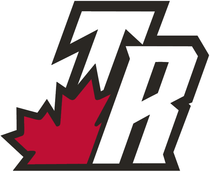 Toronto Raptors 2003-2008 Alternate Logo iron on transfers for T-shirts